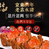 旺澄大闸蟹礼券1188型公3.5  母2.5两 5对