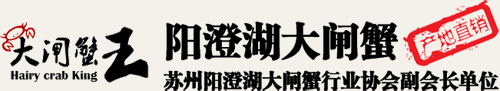 大闸蟹王 产地直销：苏州阳澄湖大闸蟹行业协会副会长单位